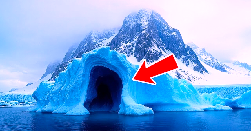 A Mysterious Alien Species In Antarctica
