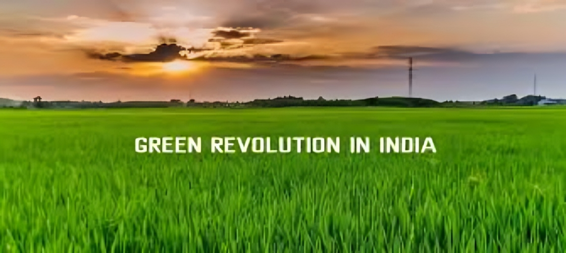 india's green revolution
